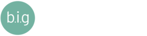 Baron Insurance Group - Logo 800 White