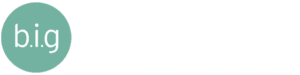 Baron Insurance Group - Logo 800 White